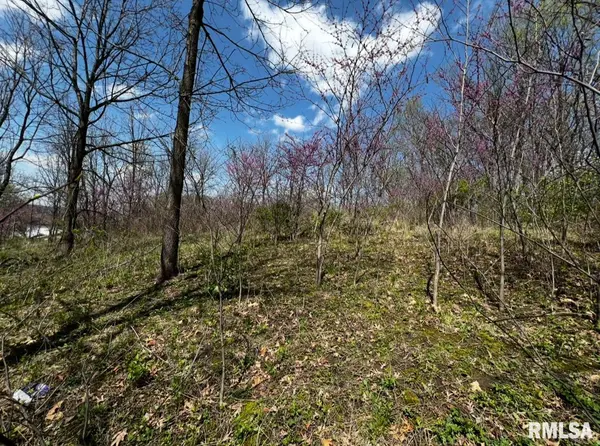 LOT 201 JAMES ST, Port Byron, IL 61256