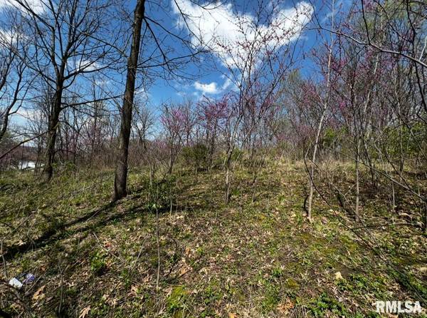 LOT 201 JAMES ST, Port Byron, IL 61256