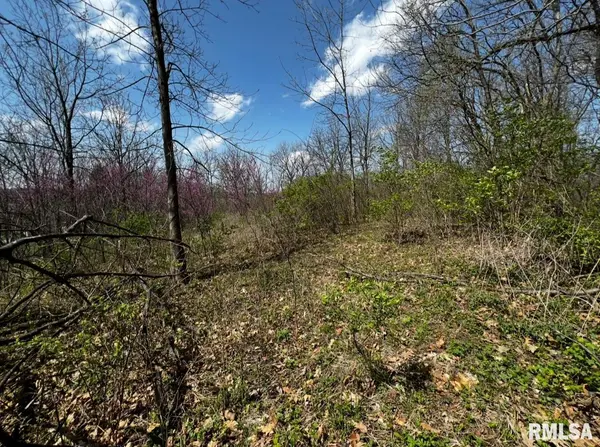LOT 201 JAMES ST, Port Byron, IL 61256