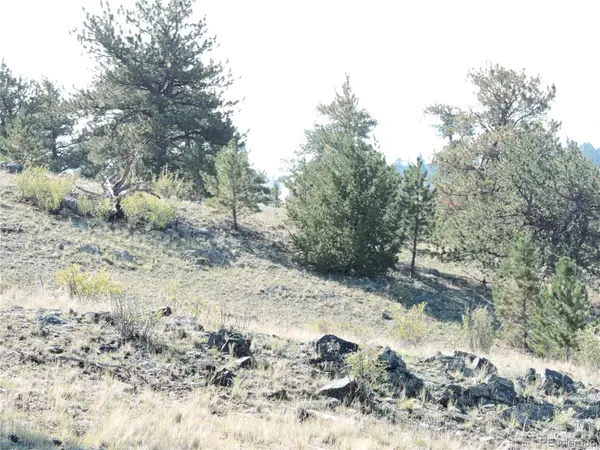 640 Arapaho TRL, Hartsel, CO 80449