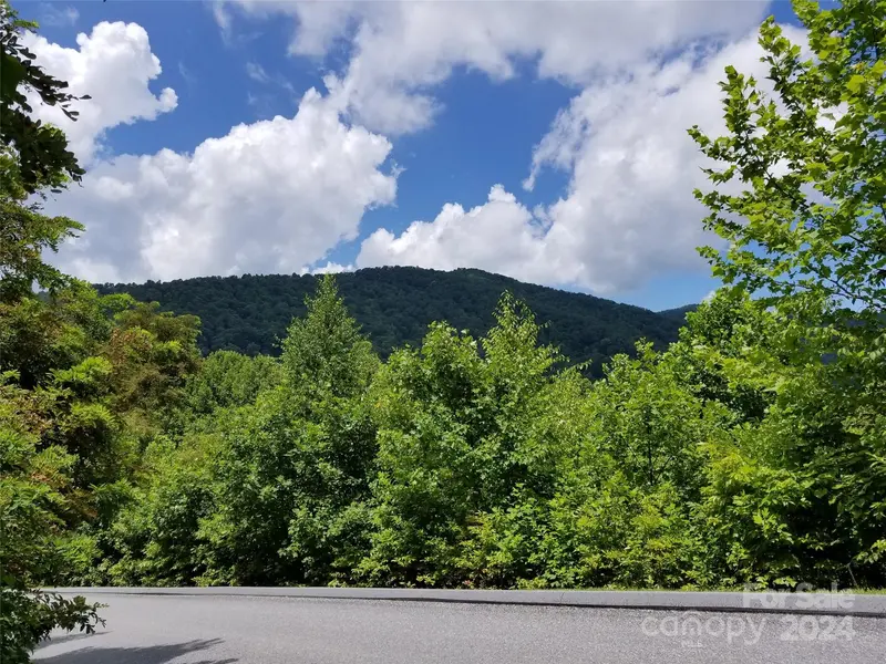 567 Blue Mist WAY, Arden, NC 28704