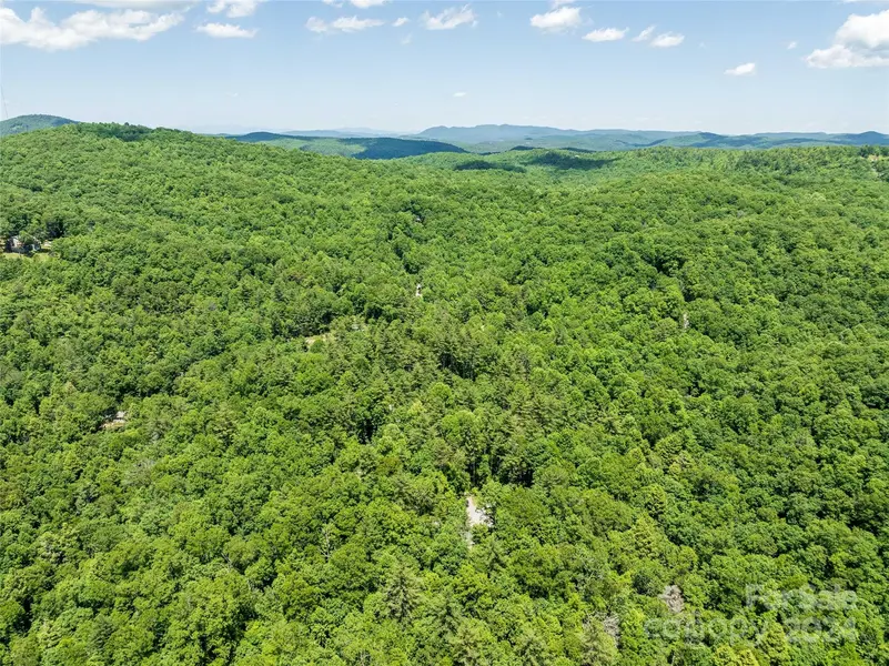78 Smiling Fox TRL, Brevard, NC 28712