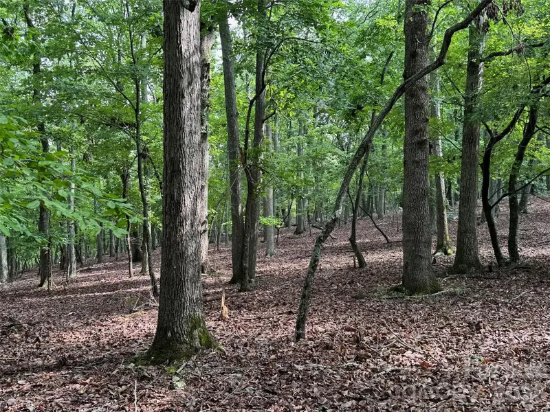 1695 Sierra Trace RD, Denton, NC 27239