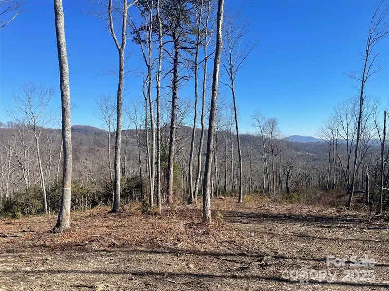 Lot 59 Mountain Grove LN, Fletcher, NC 28732