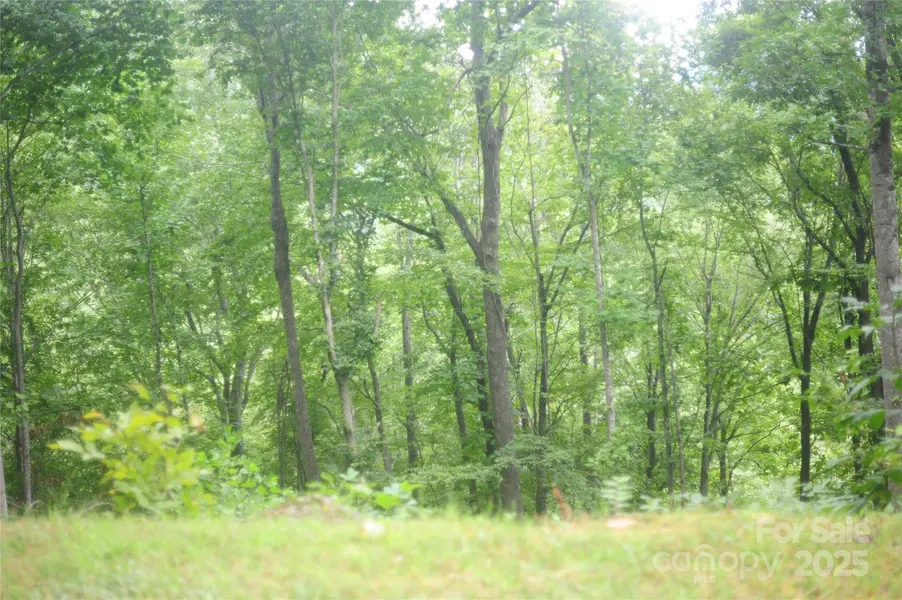 9 Wood Haven LN #108, Black Mountain, NC 28711