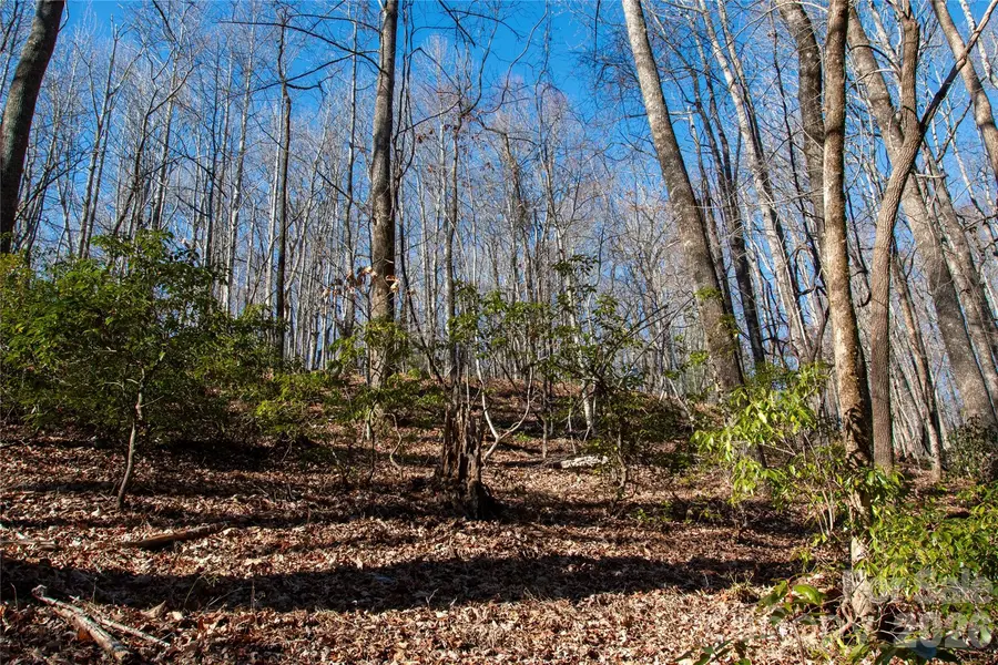 Lot 26 Big Branch RD, Brevard, NC 28712