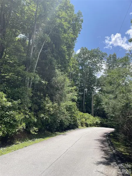 00 Winterstar LOOP #17, Burnsville, NC 28714