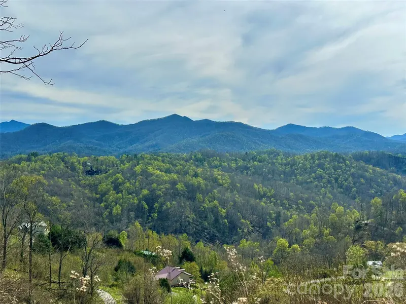 000 Sunset Mountain RD #12, Bakersville, NC 28705
