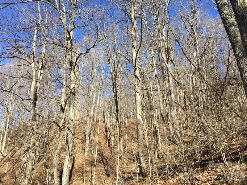99999 Red Oak Forest RD, Fairview, NC 28730
