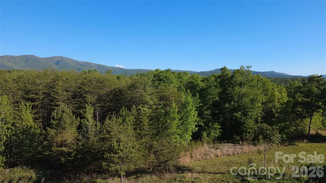 431 Ridge Point RD #7, Nebo, NC 28761