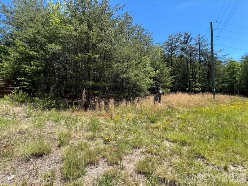 0 Luckadoo Mountain RD #177, Bostic, NC 28018