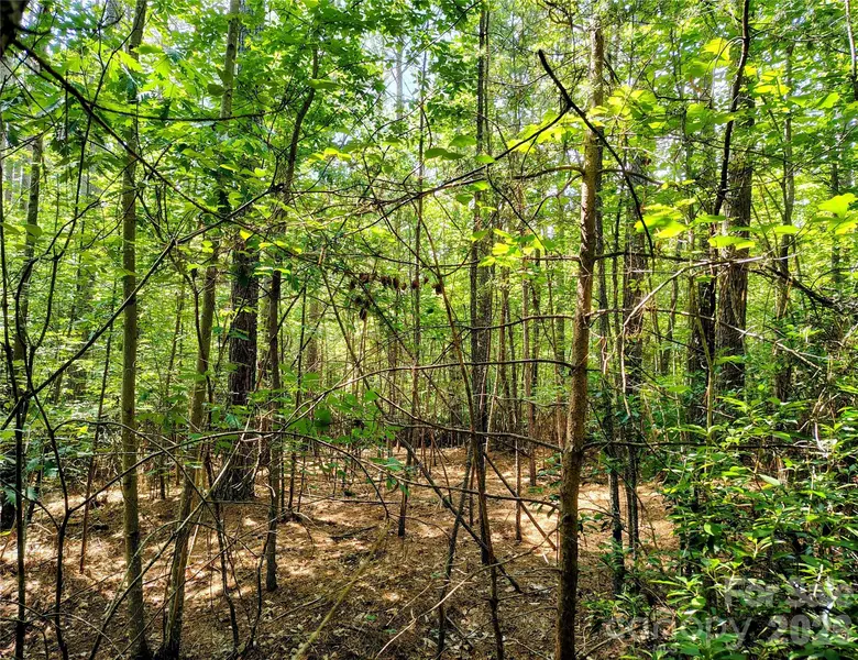 210 Harbor Ridge DR, Connelly Springs, NC 28612
