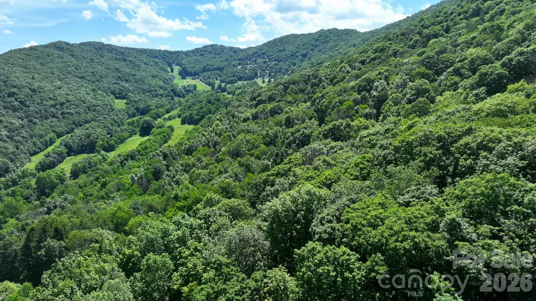 TBD Greencove DR, Seven Devils, NC 28604