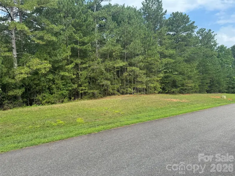 205 Riverwalk DR, Connelly Springs, NC 28612