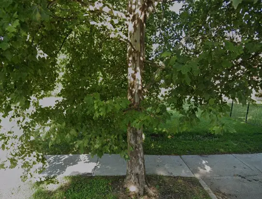 6010 S Union AVE, Chicago, IL 60621