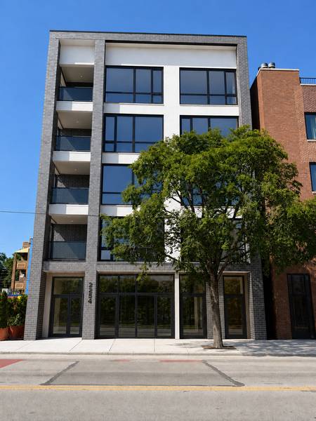 2254 W Chicago AVE #2N, Chicago, IL 60622