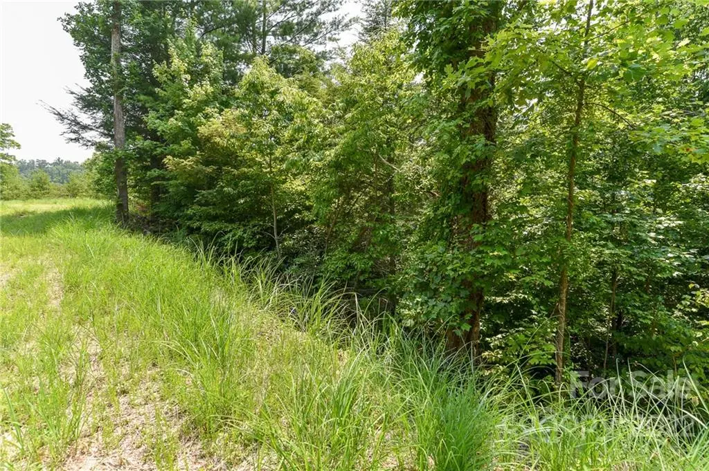 Lot 12 The Vines BLVD #Lot 12, Marshall, NC 28753