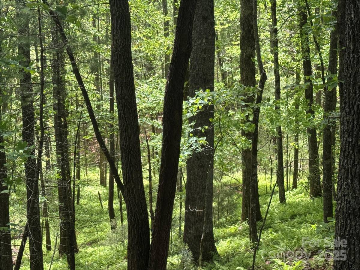 9999 Sassafras RD #4, Cedar Mountain, NC 28718
