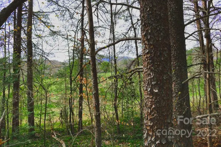 0 Westridge DR #87, Lake Lure, NC 28746