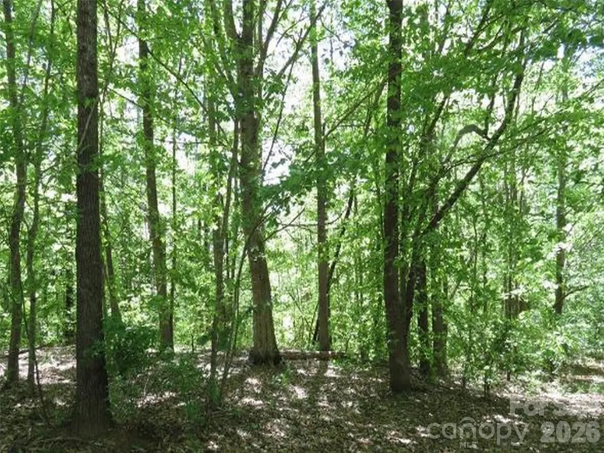 0 General Griffith CIR #25, Rutherfordton, NC 28139