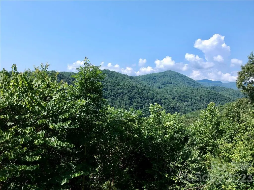 677 White Water WAY #30, Marshall, NC 28753