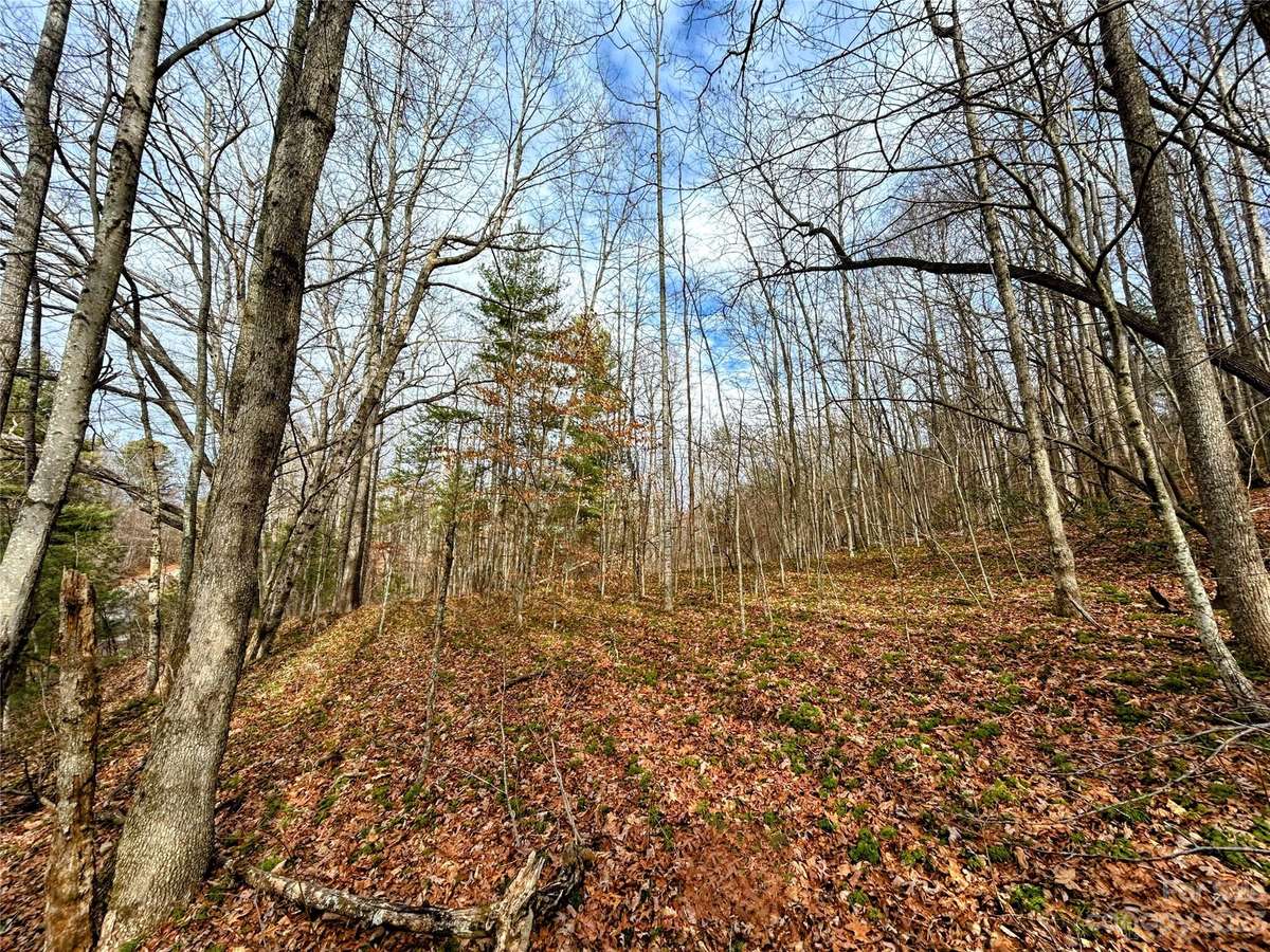 Lot 8 Azalea WAY, Saluda, NC 28773