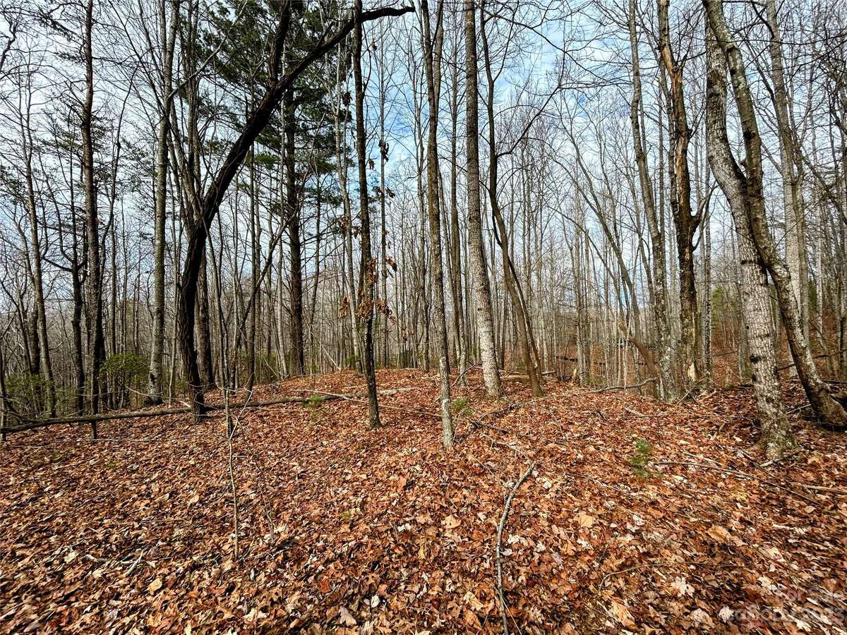 Lot 14 Rhododendron DR, Saluda, NC 28773
