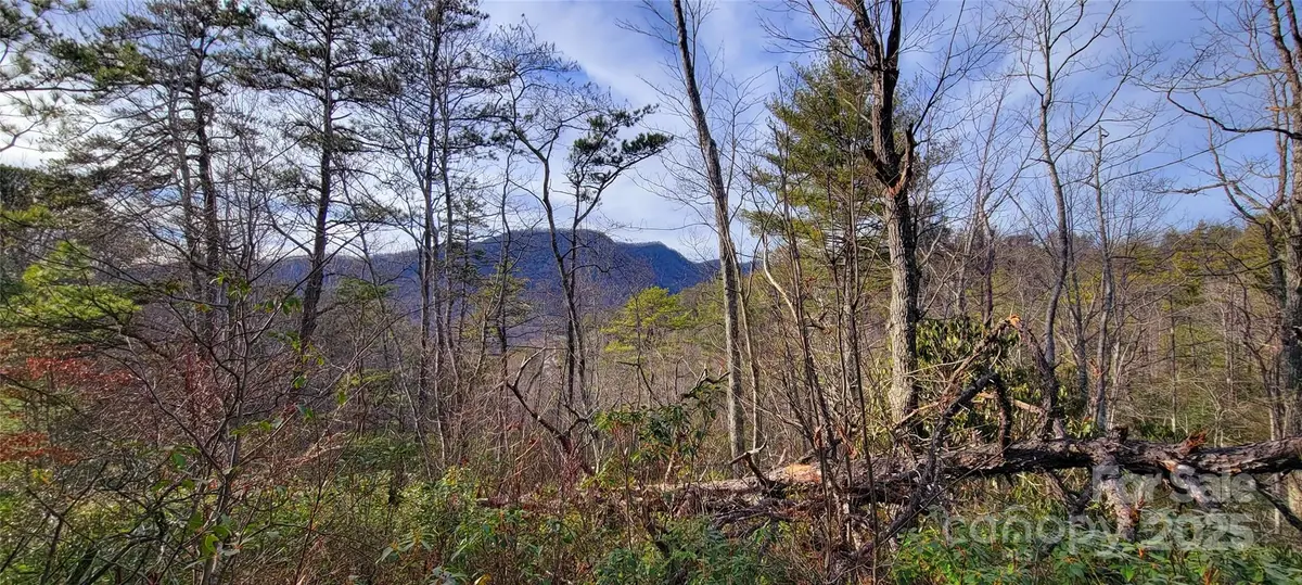 V/L Chickasaw WAY #2B, Marion, NC 28752