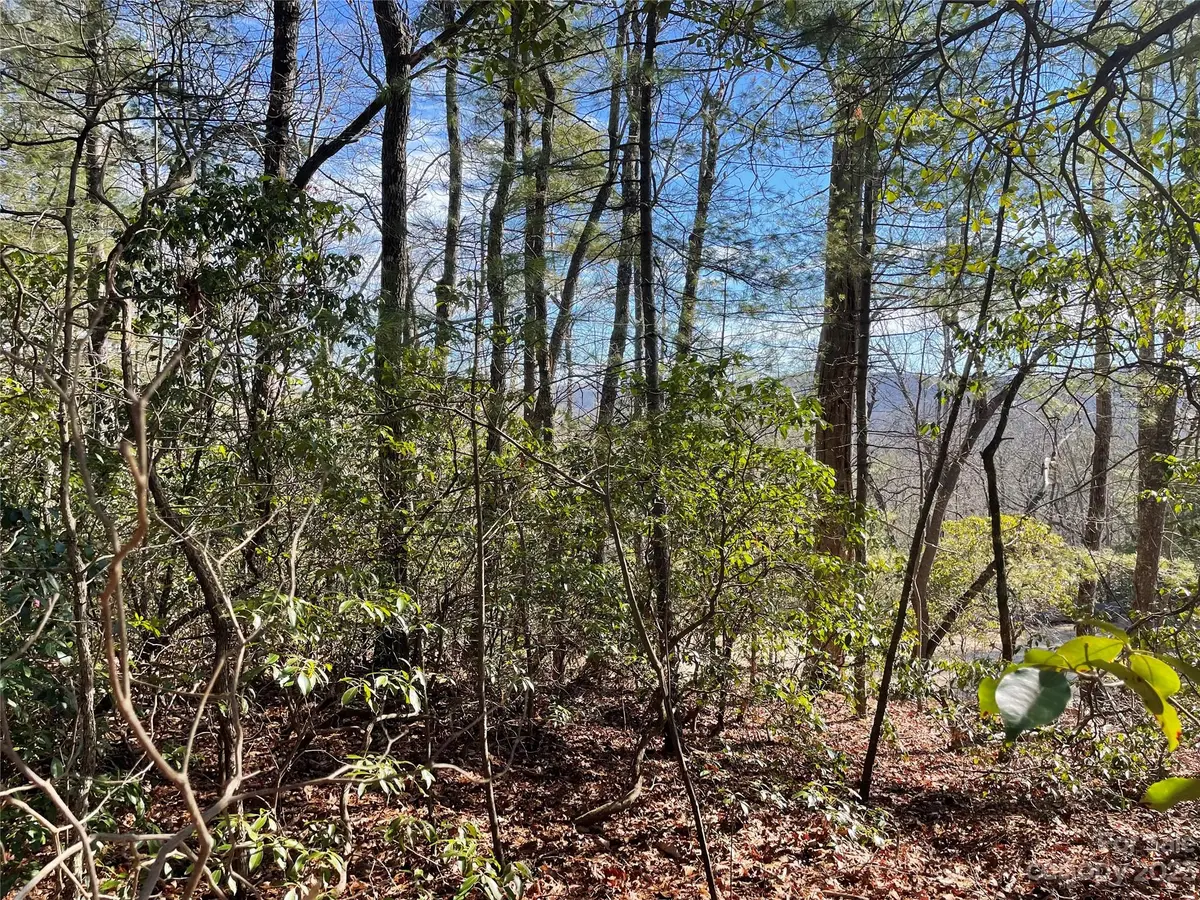 00 Willow Run LN #16, Zirconia, NC 28790