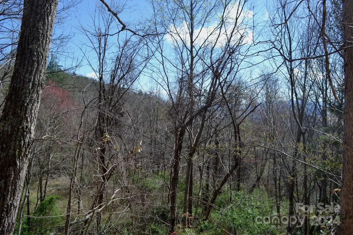 Lot 8 Town Mountain RD, Asheville, NC 28804