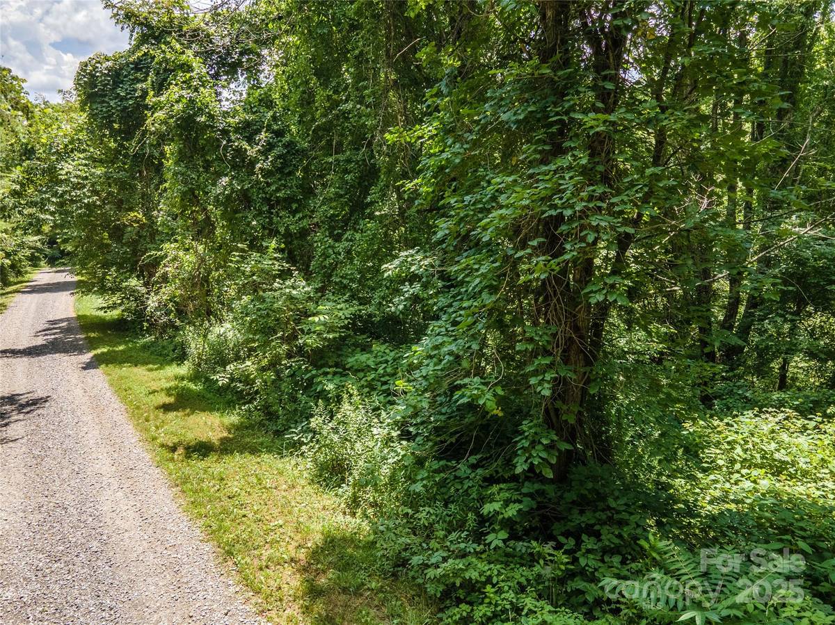 00 Troutman TRL, Leicester, NC 28748