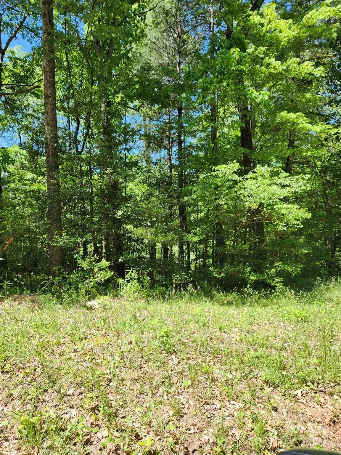 9 Tadpole LN, Taylorsville, NC 28681