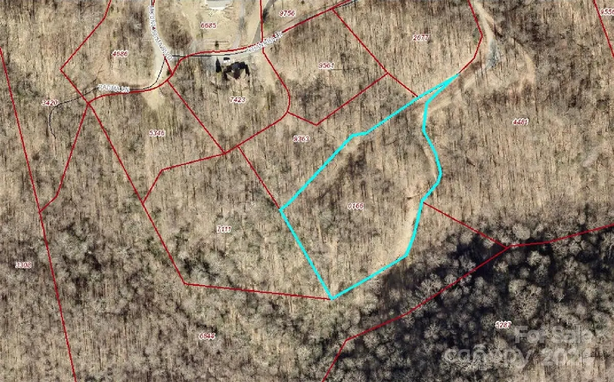 000 Chandra LN #402, Leicester, NC 28748
