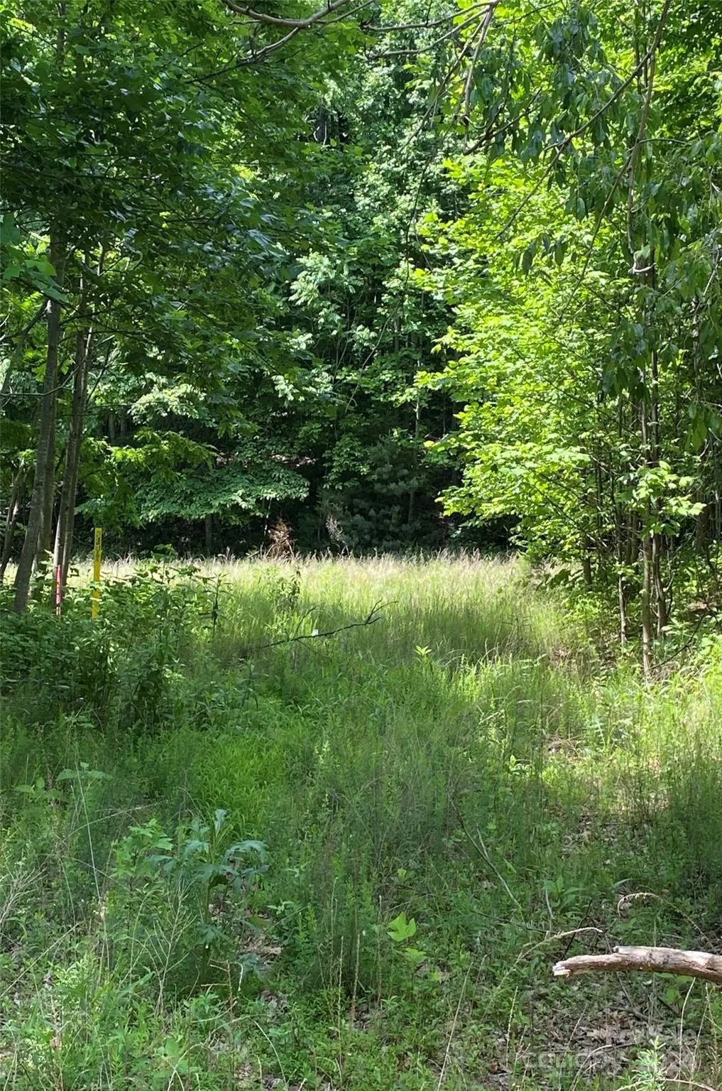 199 Cherry Hill None, Mill Spring, NC 28756