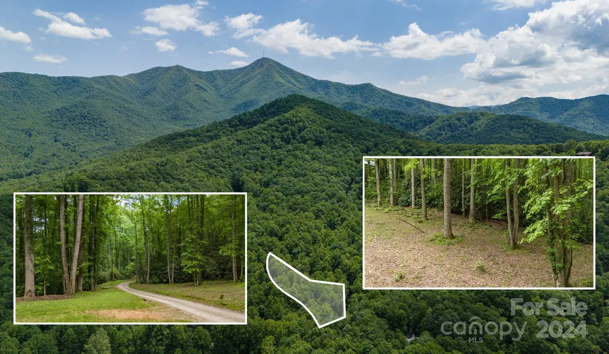 95 Treetops DR, Candler, NC 28715