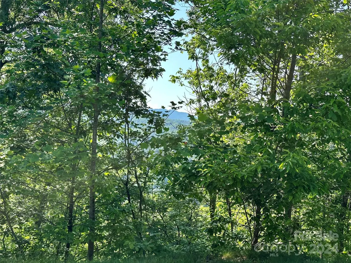 385 Wild River RUN #7, Marshall, NC 28753