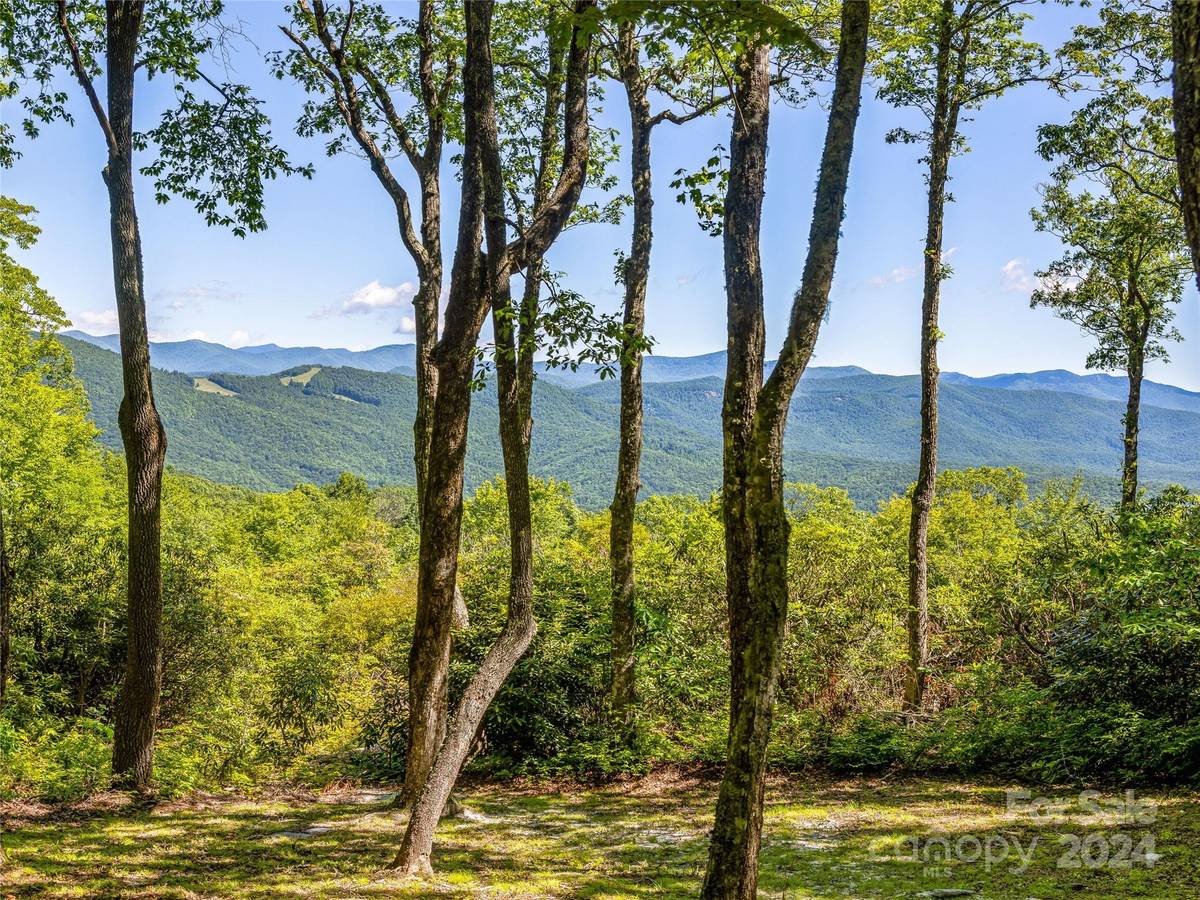PS 3 Panther Summit DR, Lake Toxaway, NC 28747