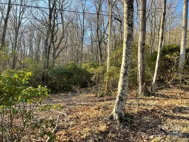 0 E Poplar LN #25, Hendersonville, NC 28792