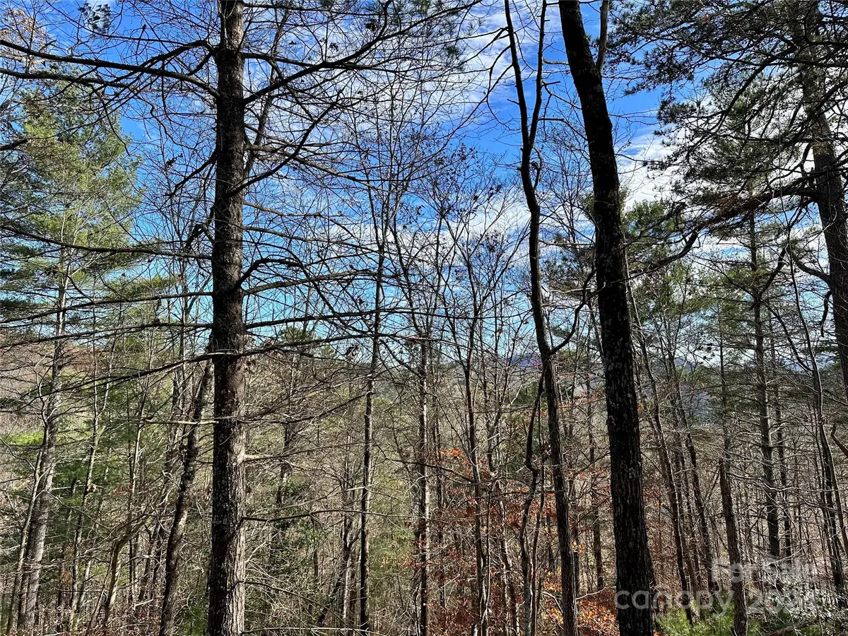625 White Water WAY #25, Marshall, NC 28753