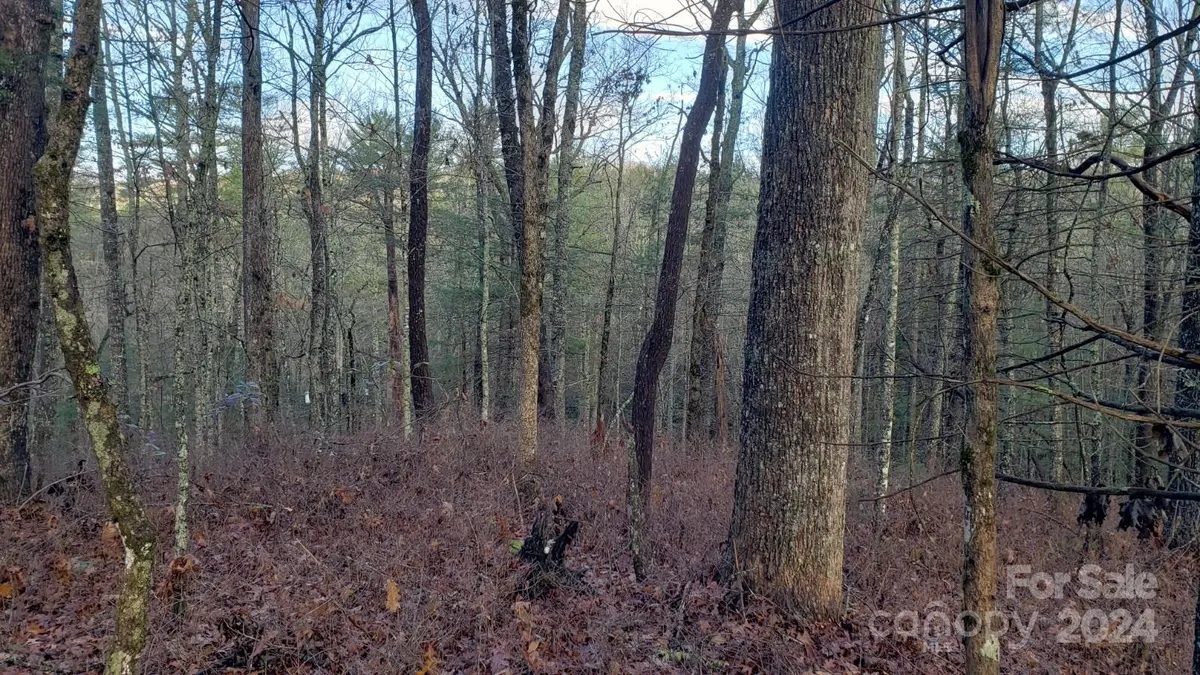 TBD Cedar LN, Brevard, NC 28712