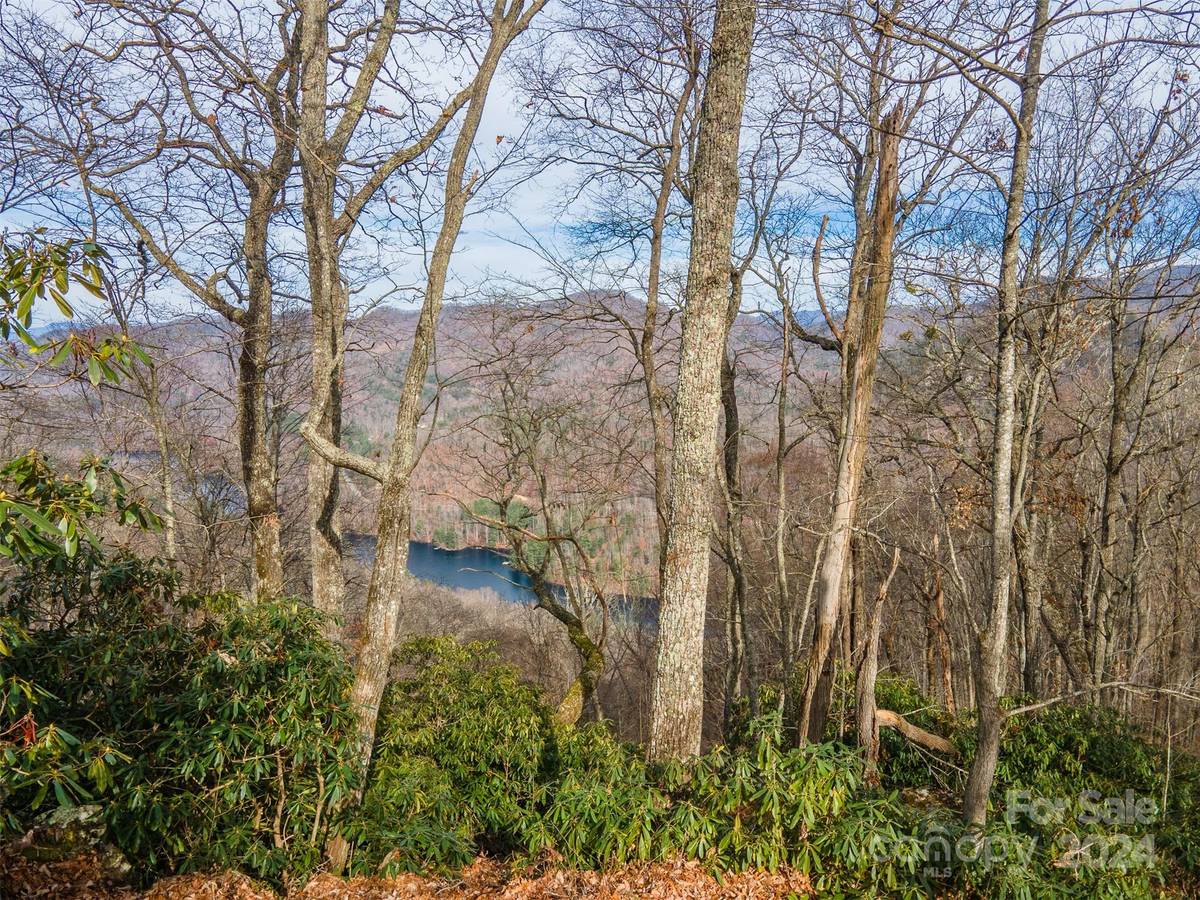 520 Morningside DR #51, Tuckasegee, NC 28783
