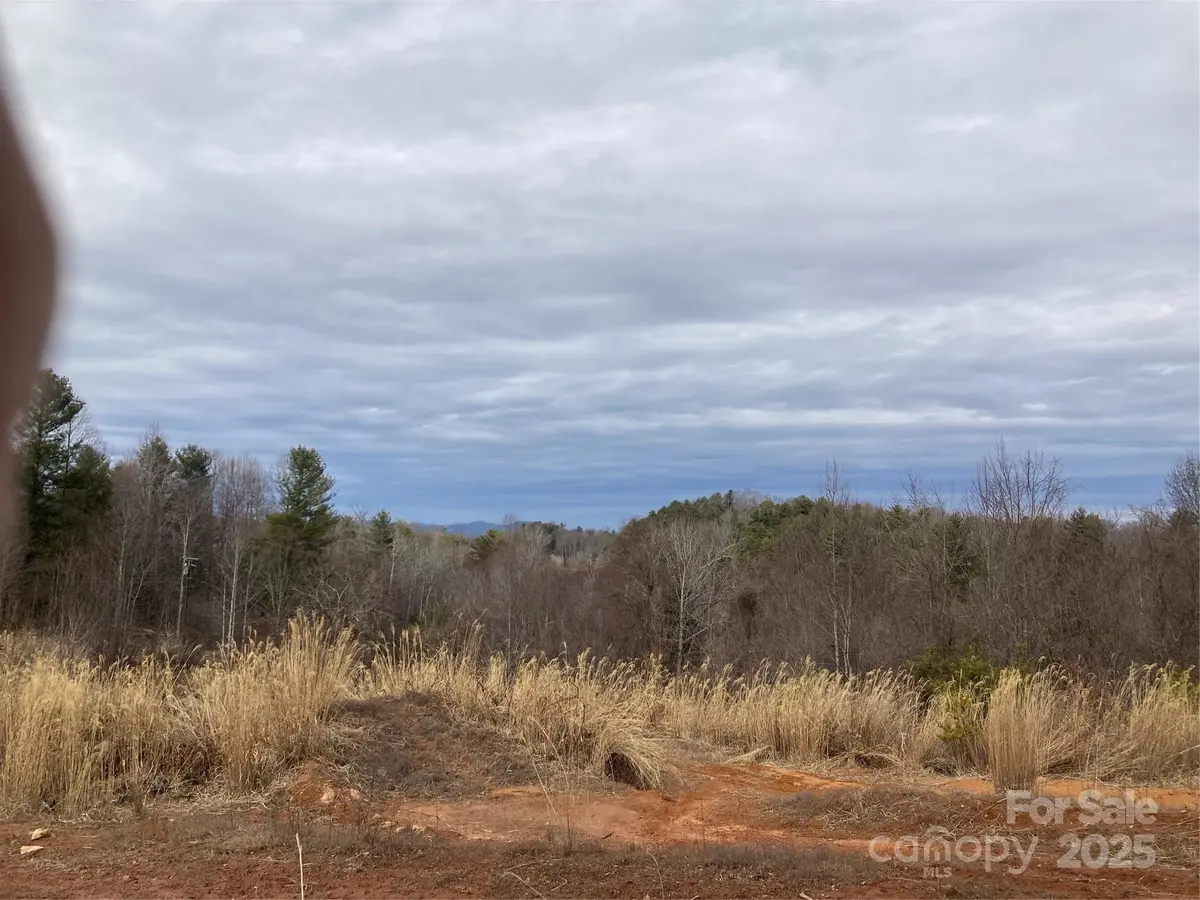 1638 Continental Divide RD #1, Flat Rock, NC 28731