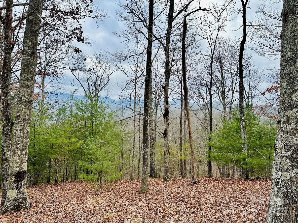 275 Raccoon RUN #24, Marshall, NC 28753