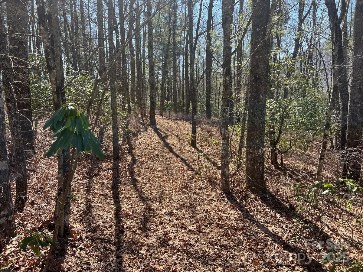 TBD Panther Ridge RD, Lake Toxaway, NC 28747