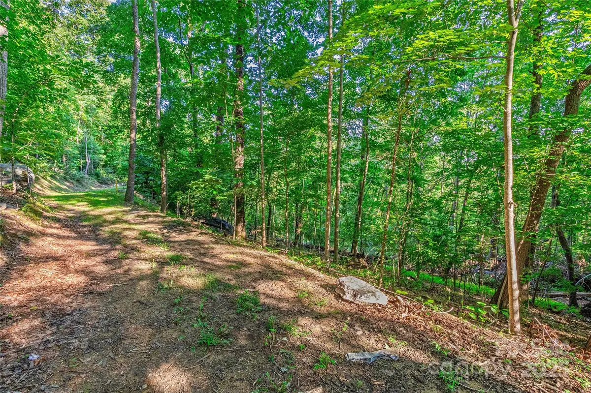 Lot W13 Curtain BLF, Hendersonville, NC 28791