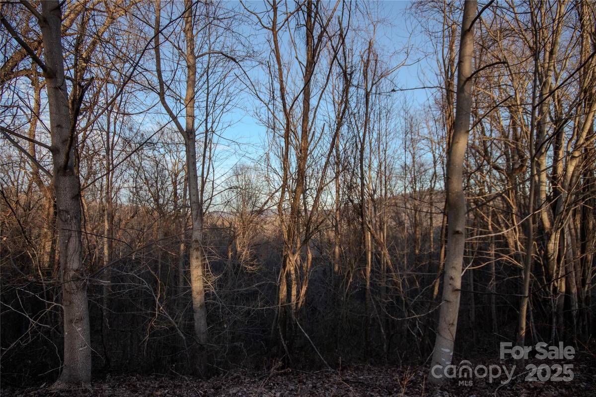 Lot# 22 Autumn RDG #22, Lenoir, NC 28645