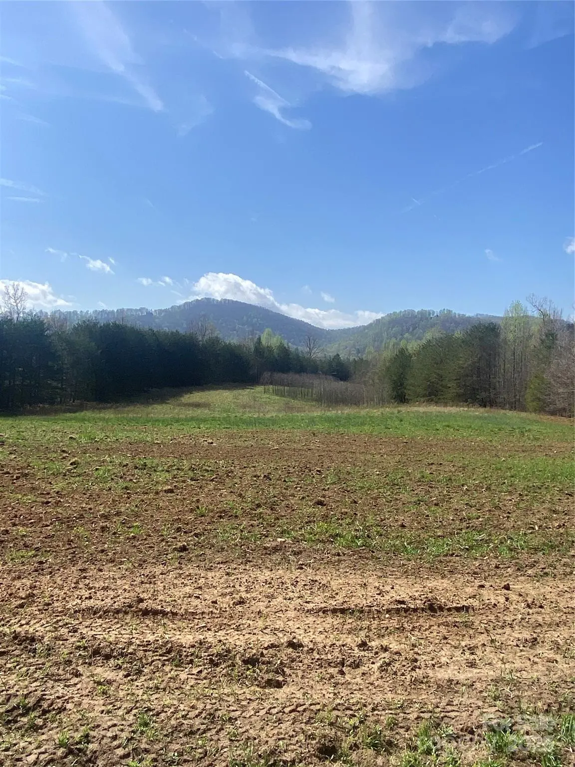 0 Cane Creek Mountain RD, Bostic, NC 28018