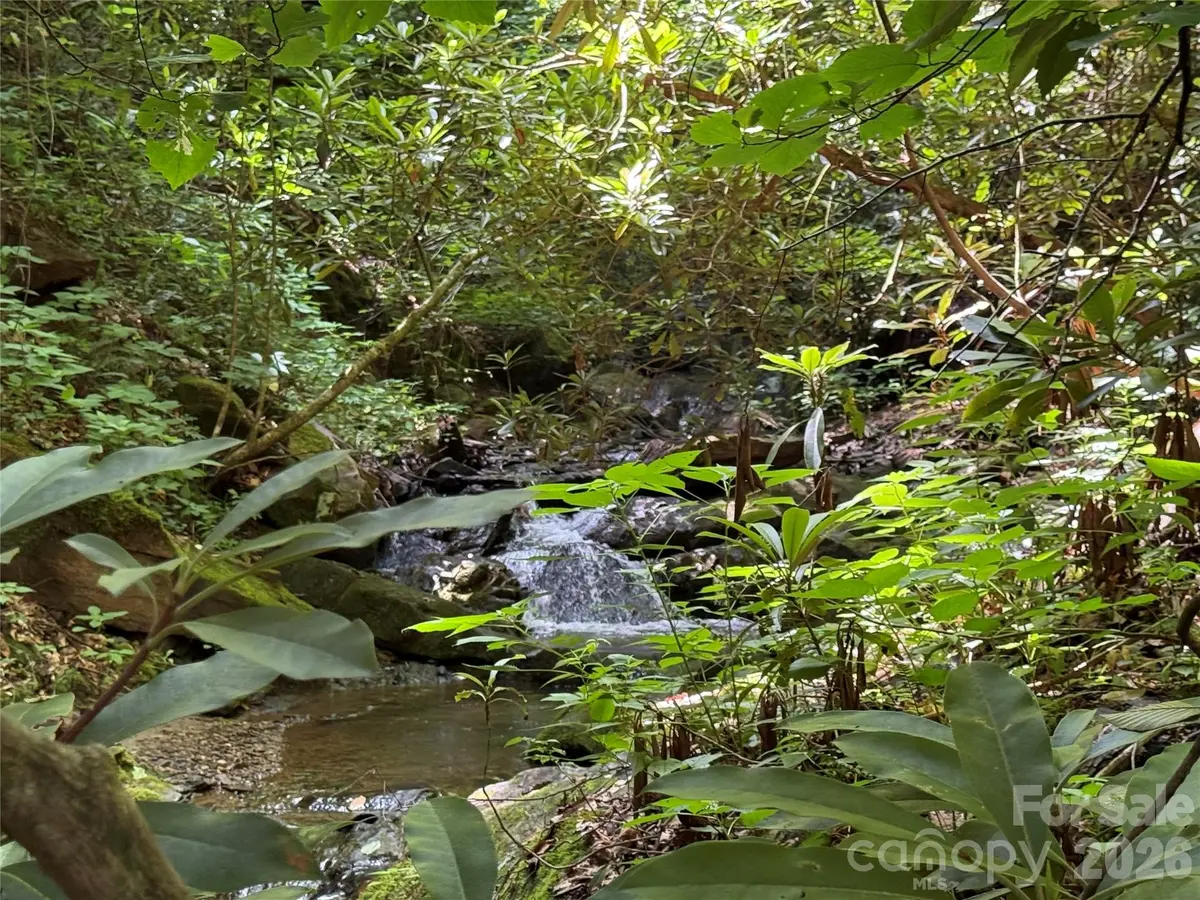 5 Copperhead CV, Sylva, NC 28779