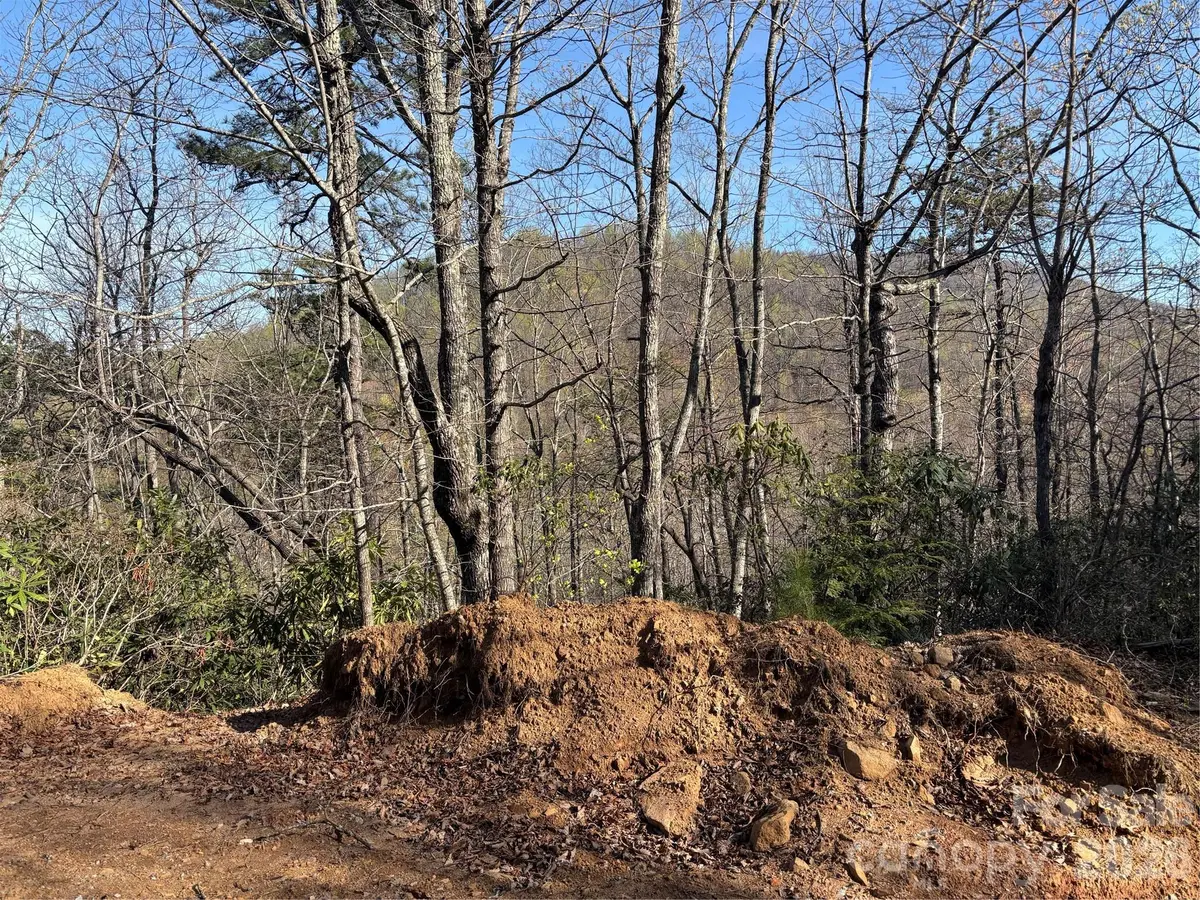 00 Kathy Lake DR #24/25, Edneyville, NC 28792