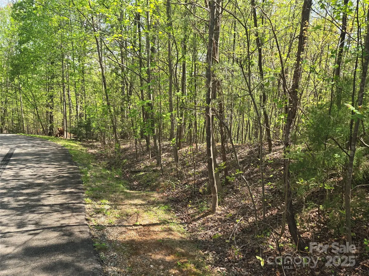 Lot 15 Touch Me Not TRL, Lake Lure, NC 28746